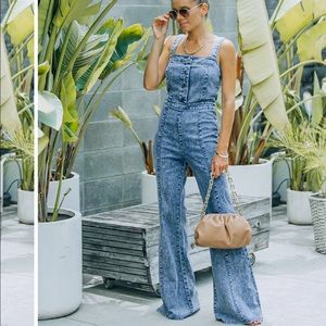 Vici Denim Jumpsuit ⭐️